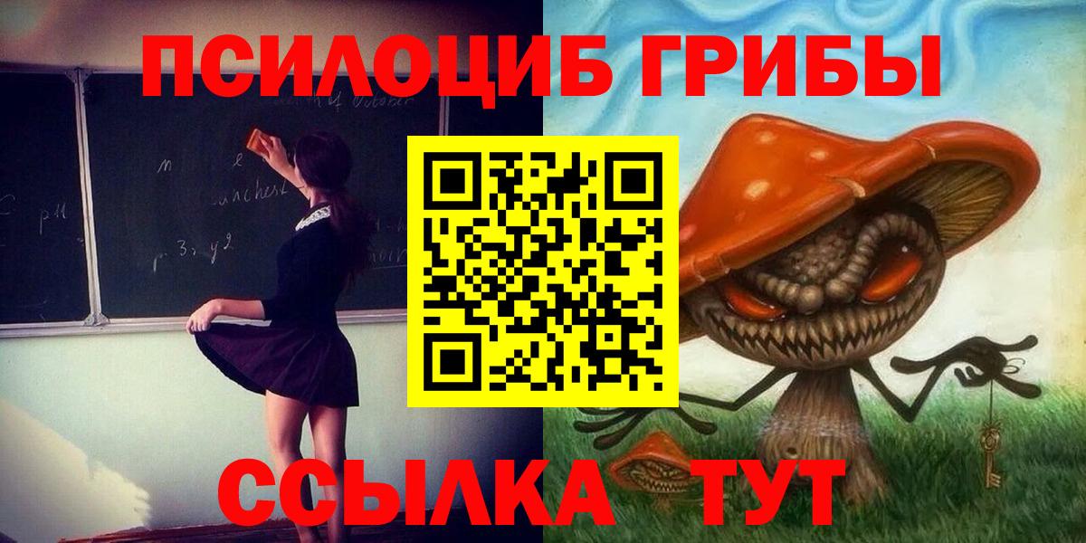 Галлюциногенные грибы MAGIC MUSHROOMS  Вход с VPN  хочу   Каменск-Шахтинский 